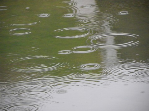 夏の終わりに思うこと